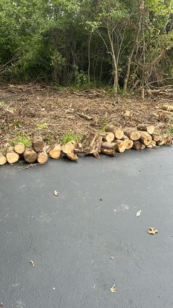 Firewood