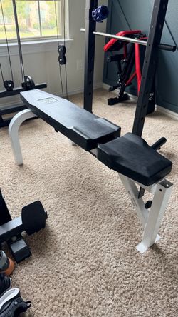Northern Lights workout bench