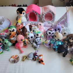 Beanie Boo Bonanza