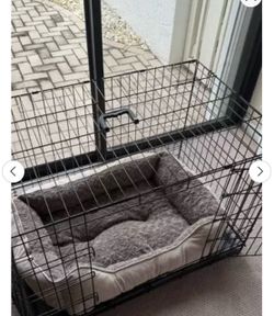 Large dog kennel