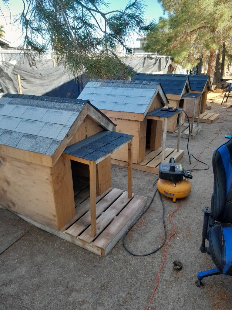 Dog Houses 