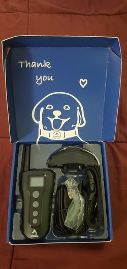 Dog Training Collar