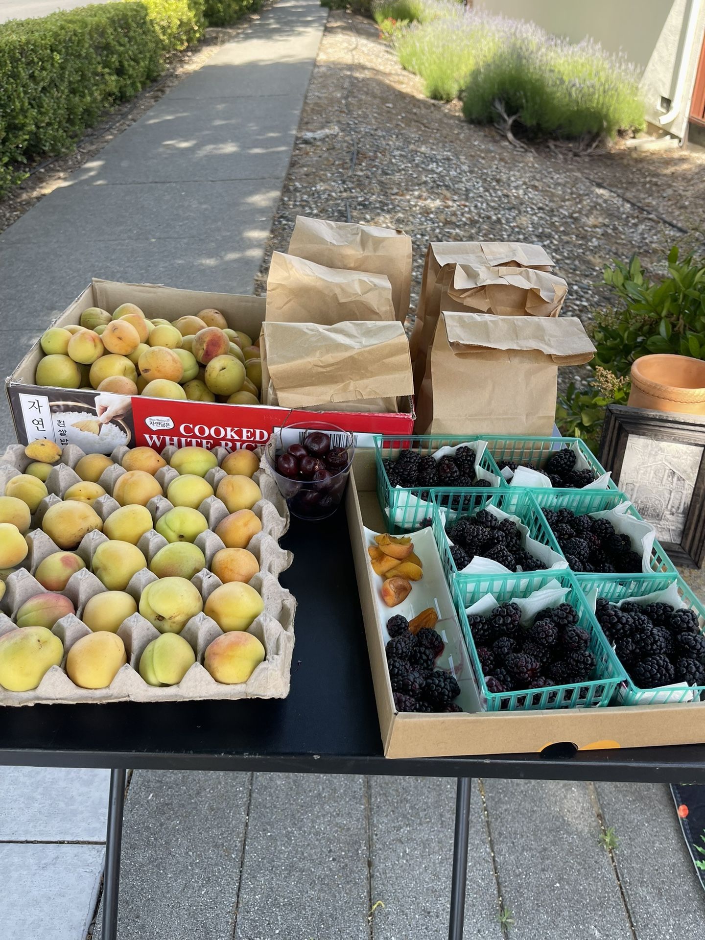 Garage Sale