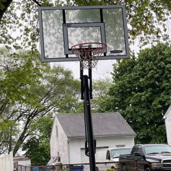 Lifetime Basketball Hoop