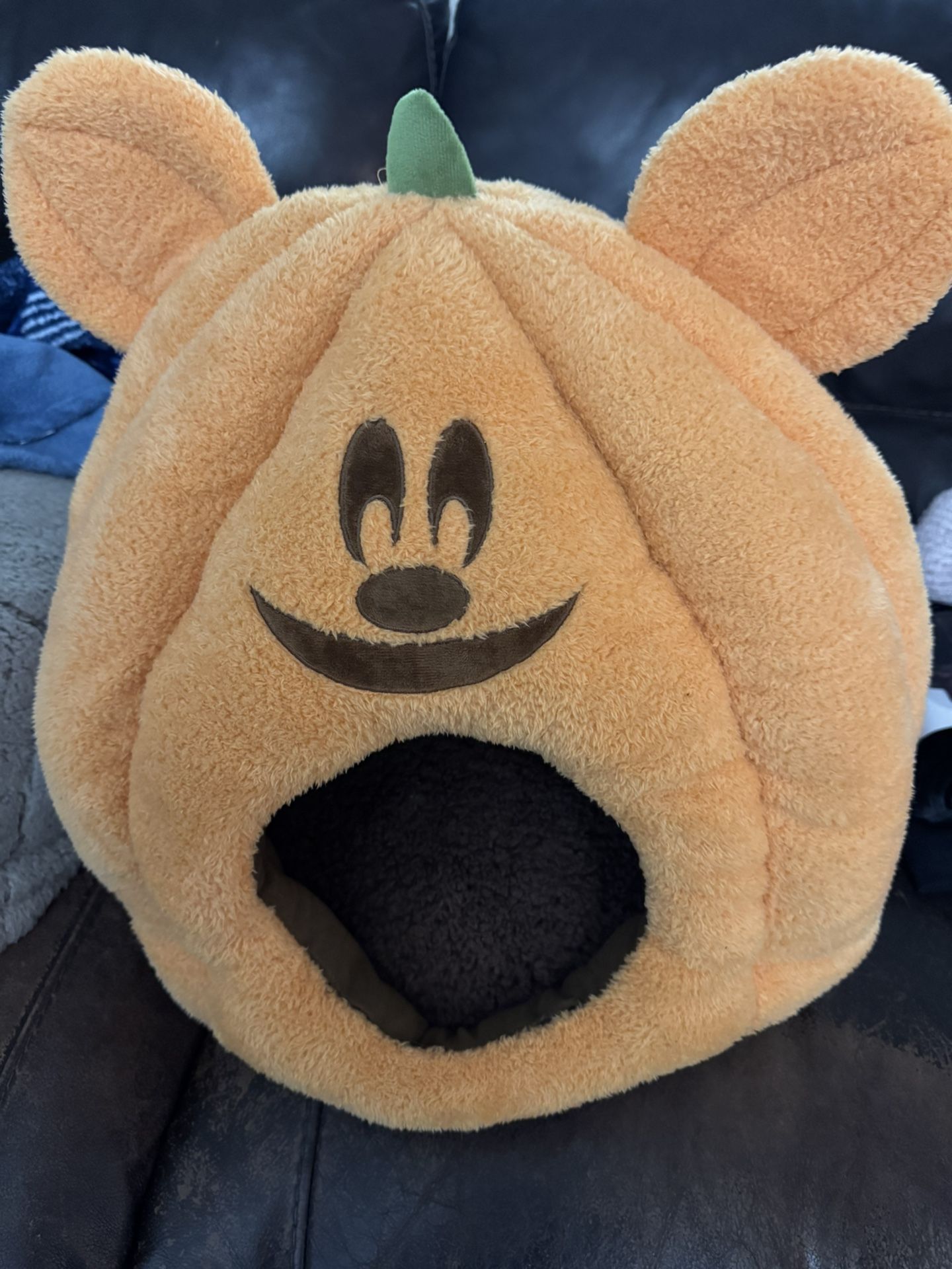 Disney Mickey Pumpkin Pet House