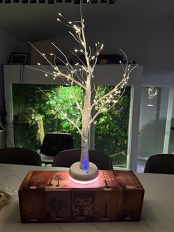 Lighted Birch Tree rechargeable