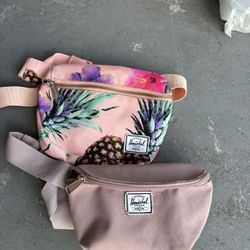 Hershel Bags 