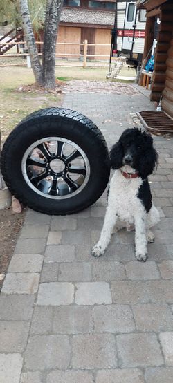 8 Lug 20" Spare