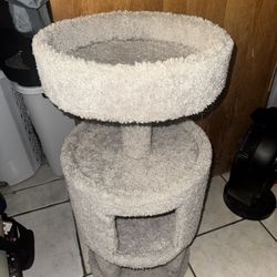 cat tree