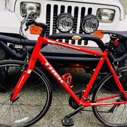 2020 Trek FX3 Gold Alpha Aluminum