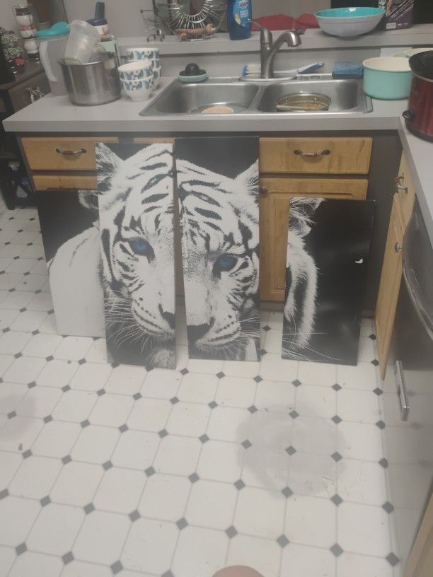 White Tiger 4 Piece Set