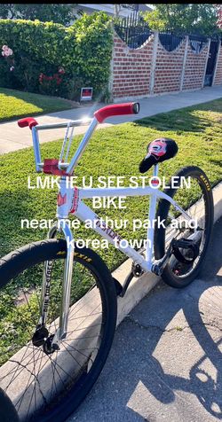 Stolen Throne 29er