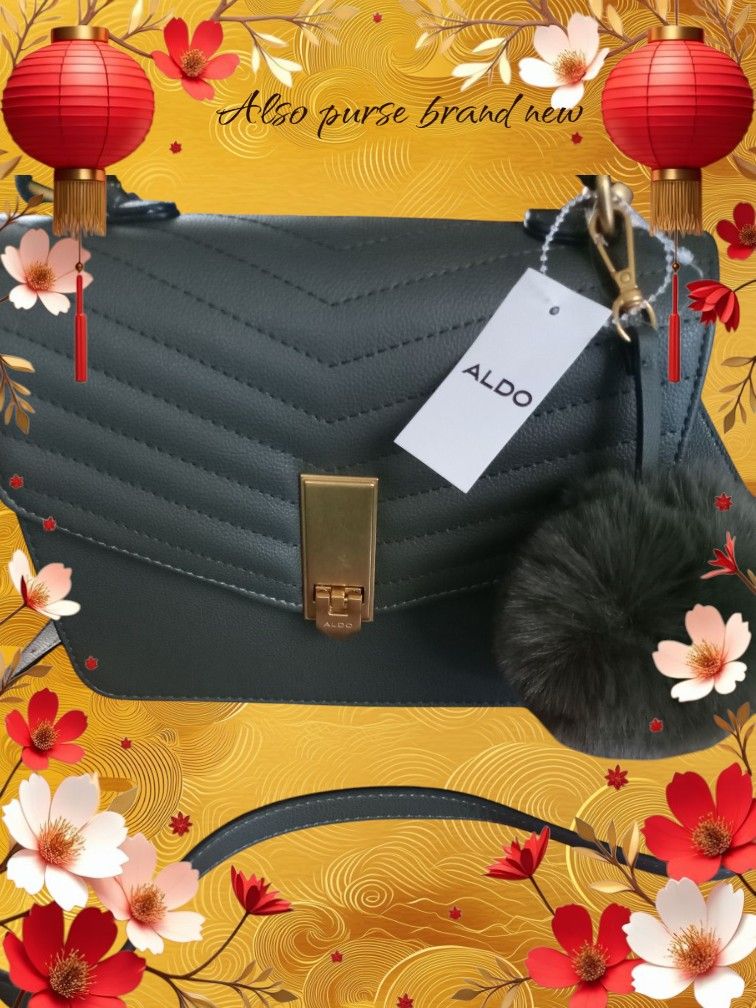 Aldo Green Leather Purse