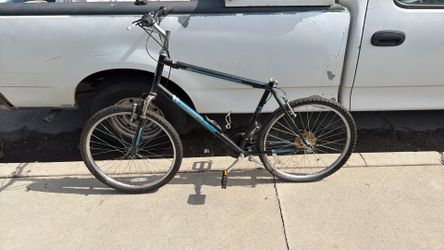 Diamondback