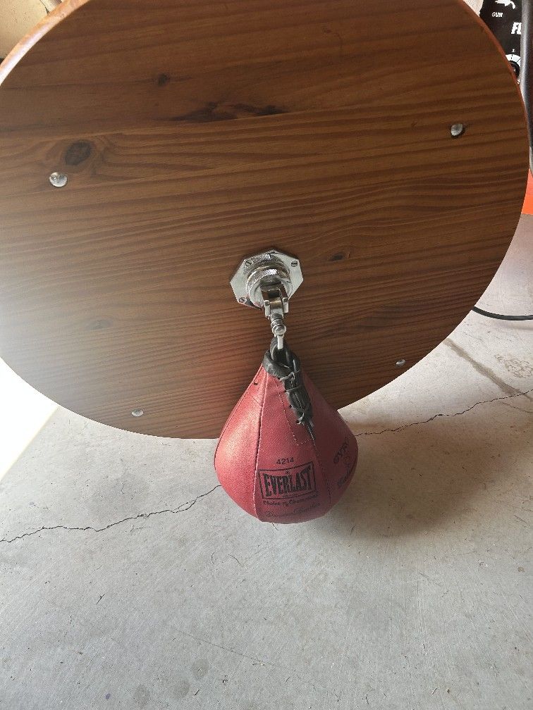 Speedbag With Mount