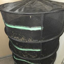 Marijuana Dryer