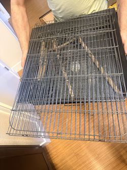 Huge bird cage