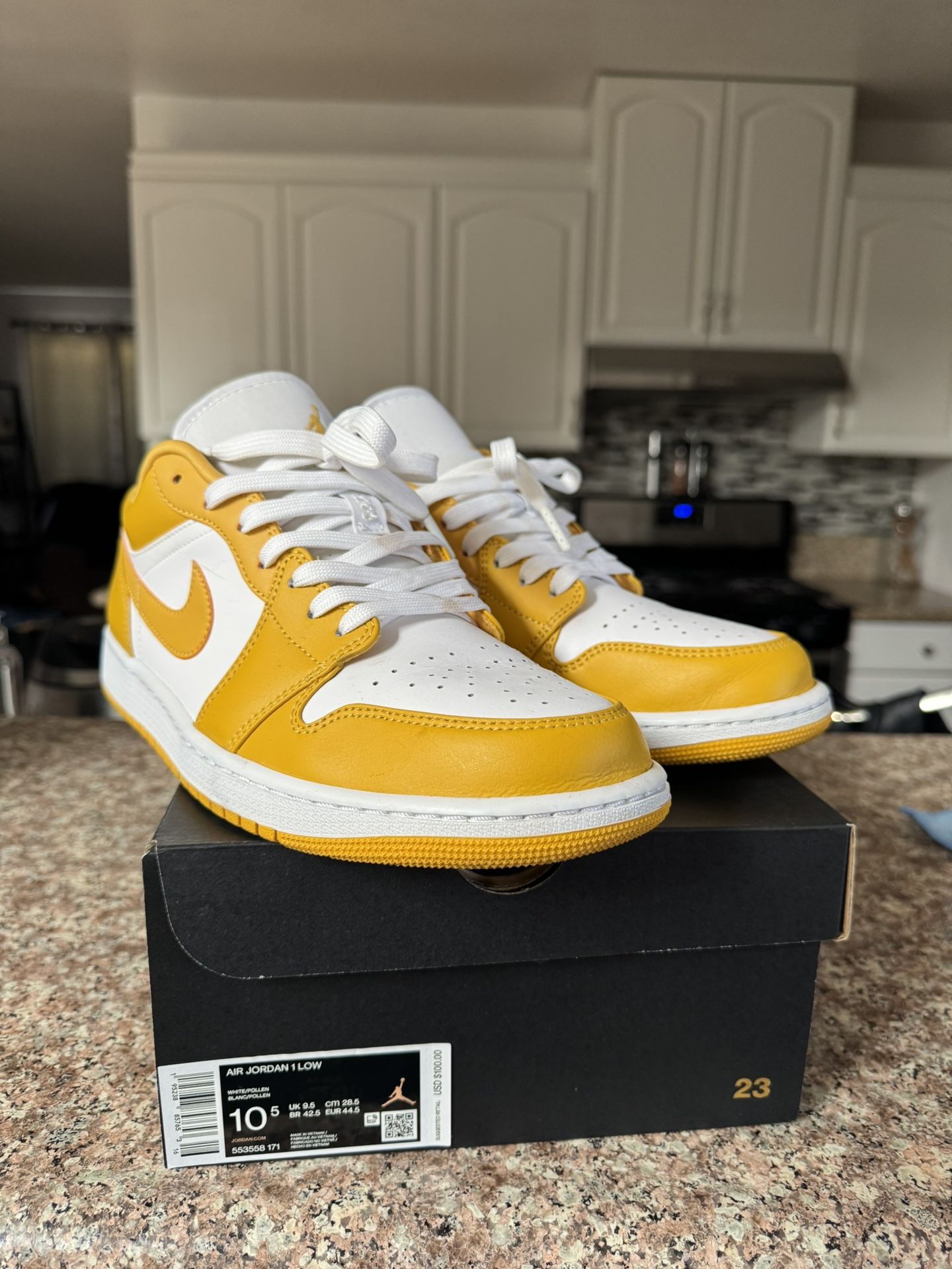 Jordan 1 pollen Size 10
