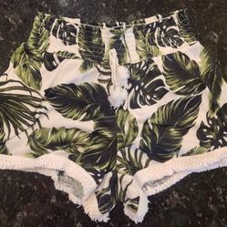 💚 Palm Shorts