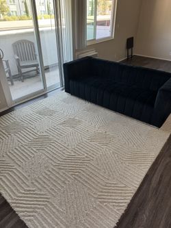 Couch And Carpet Combo