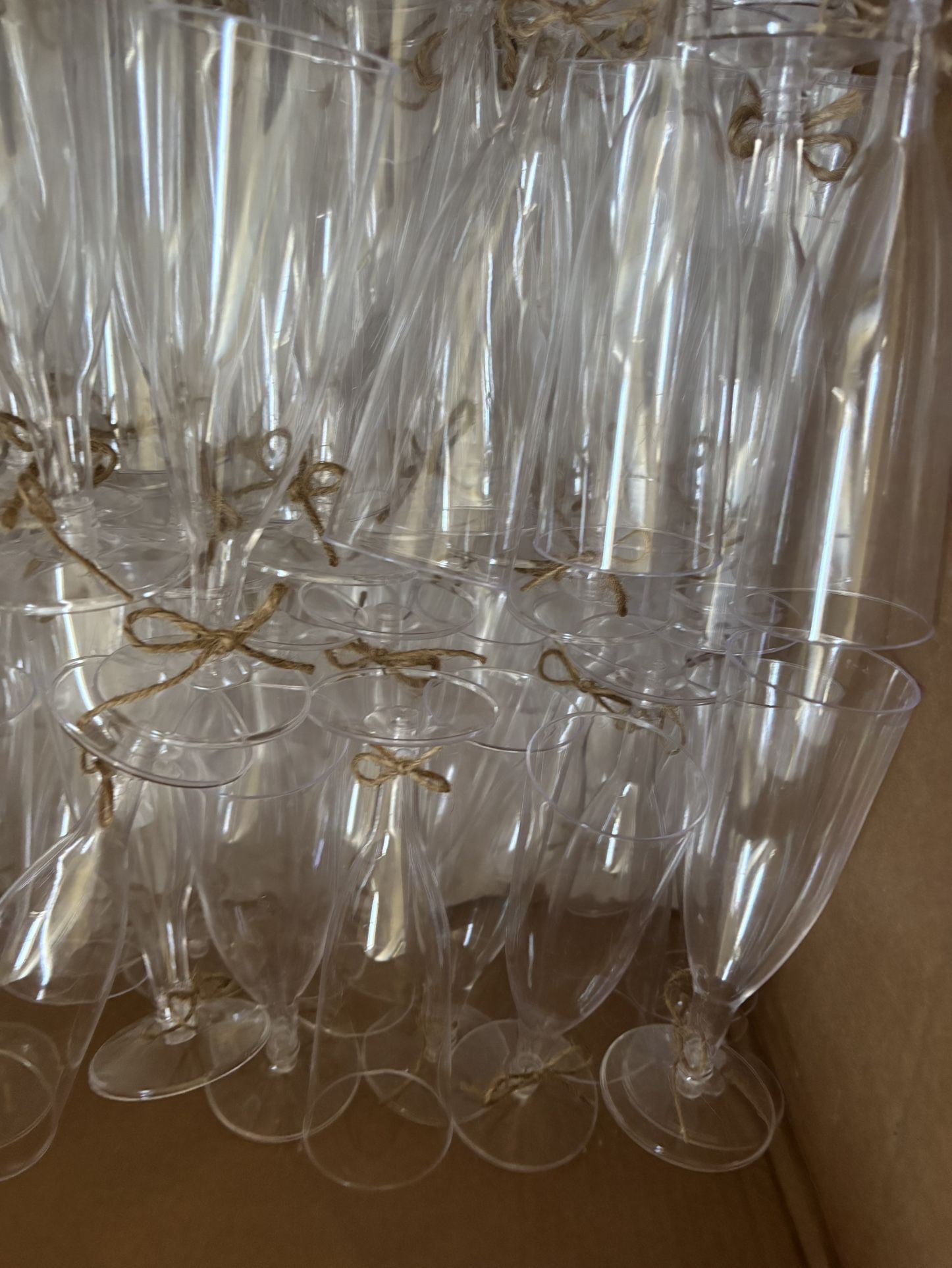 Plastic Champagne Flutes