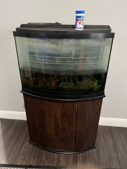 Fish tank with stand