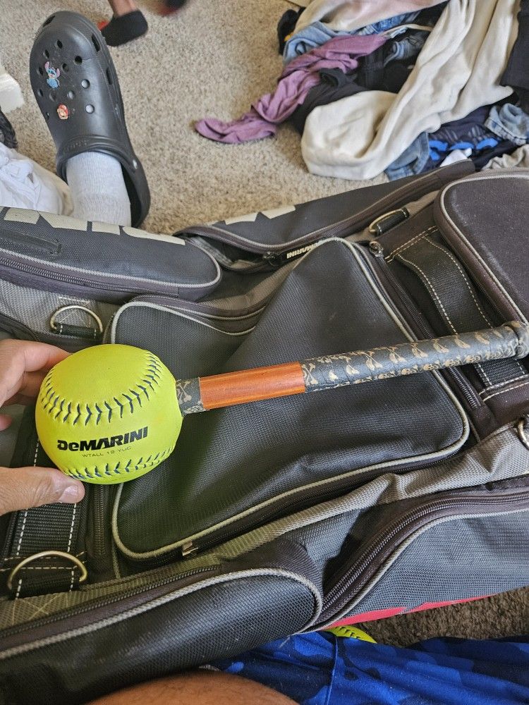 Softball Equipment