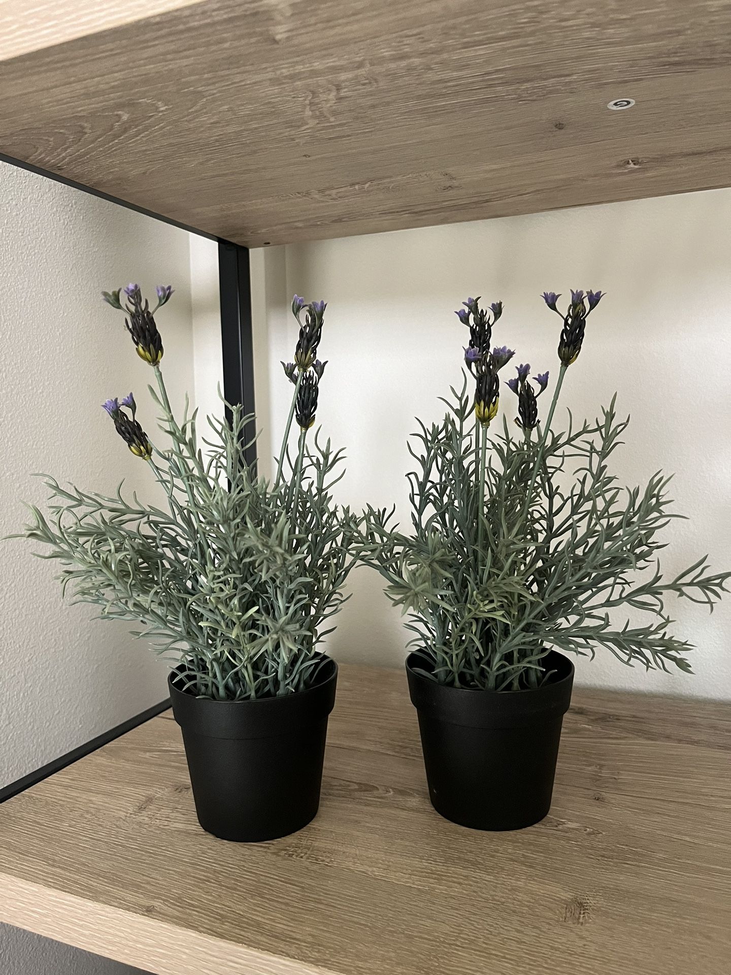 Set Of 2 Faux Lavender Plants $10