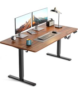 55 x 30 Large Electric Standing Desk Height Adjustable, Walnut