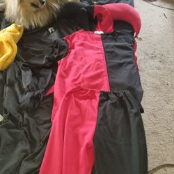 Kids Jester Costume