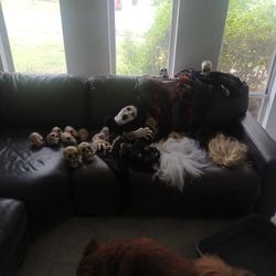 Halloween Decorations, Masks and Wigs