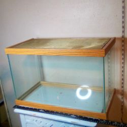 Wooden Framed Terrarium 🐸🐲🐲🦎