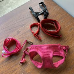 small dog harnes with leash 