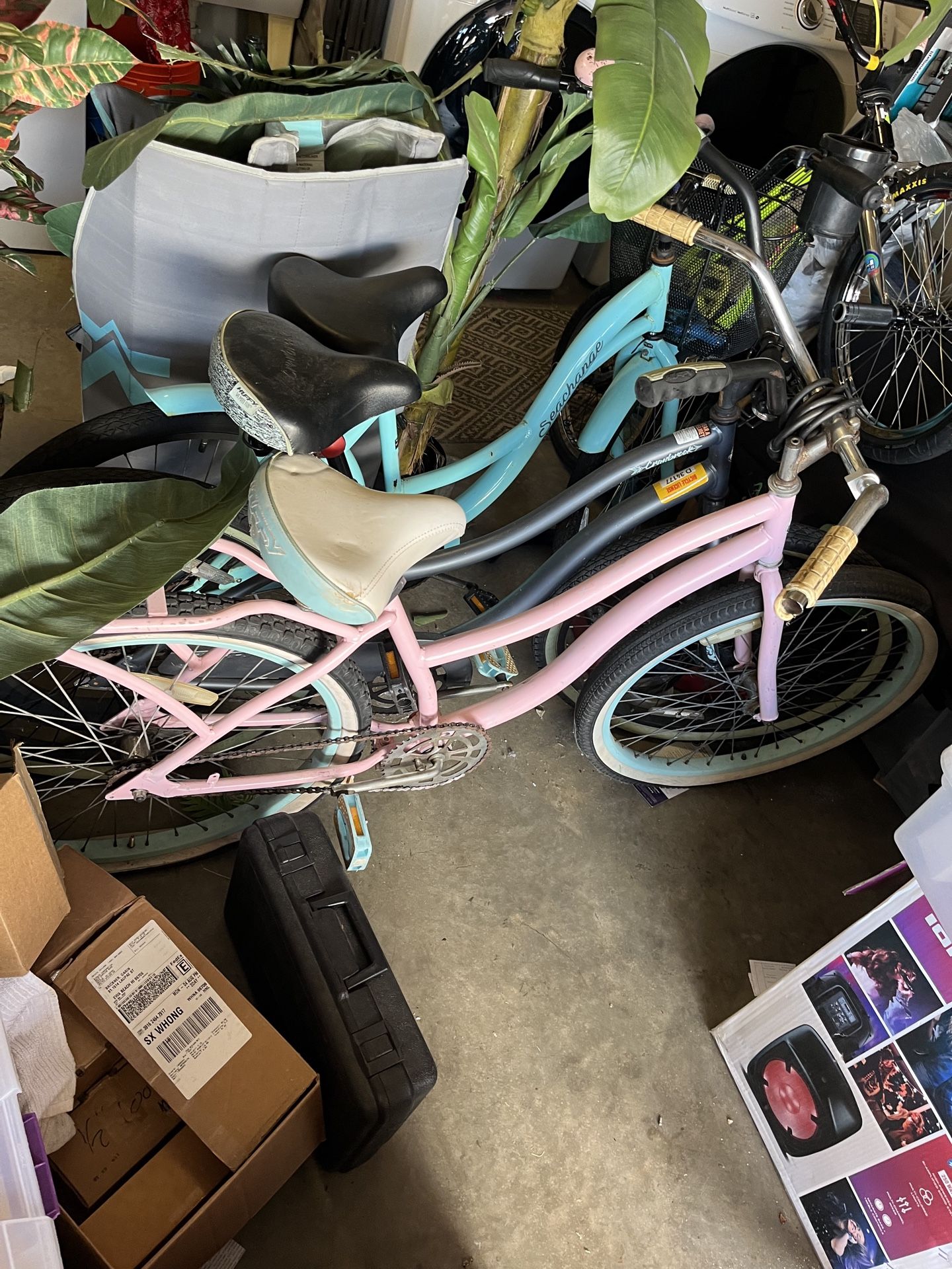 3 Cruisers bikes