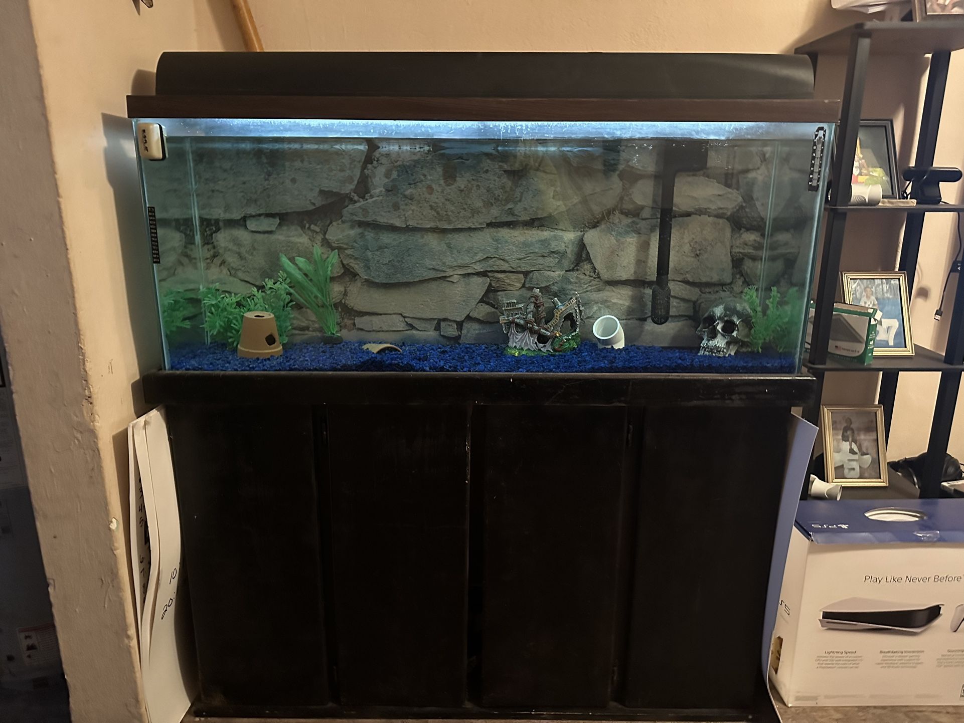 55g Fish Tank