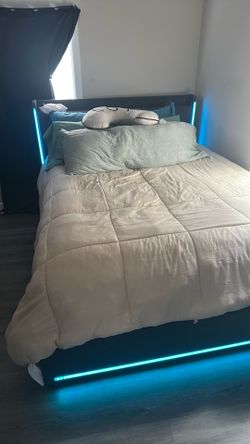 Bed frame and mattresses