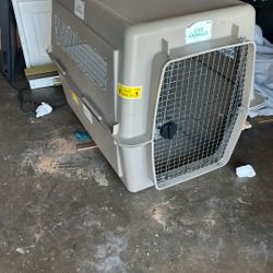 Dog Kennel 