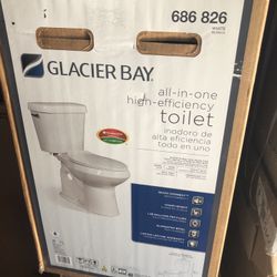 Glacier Bay toilet 