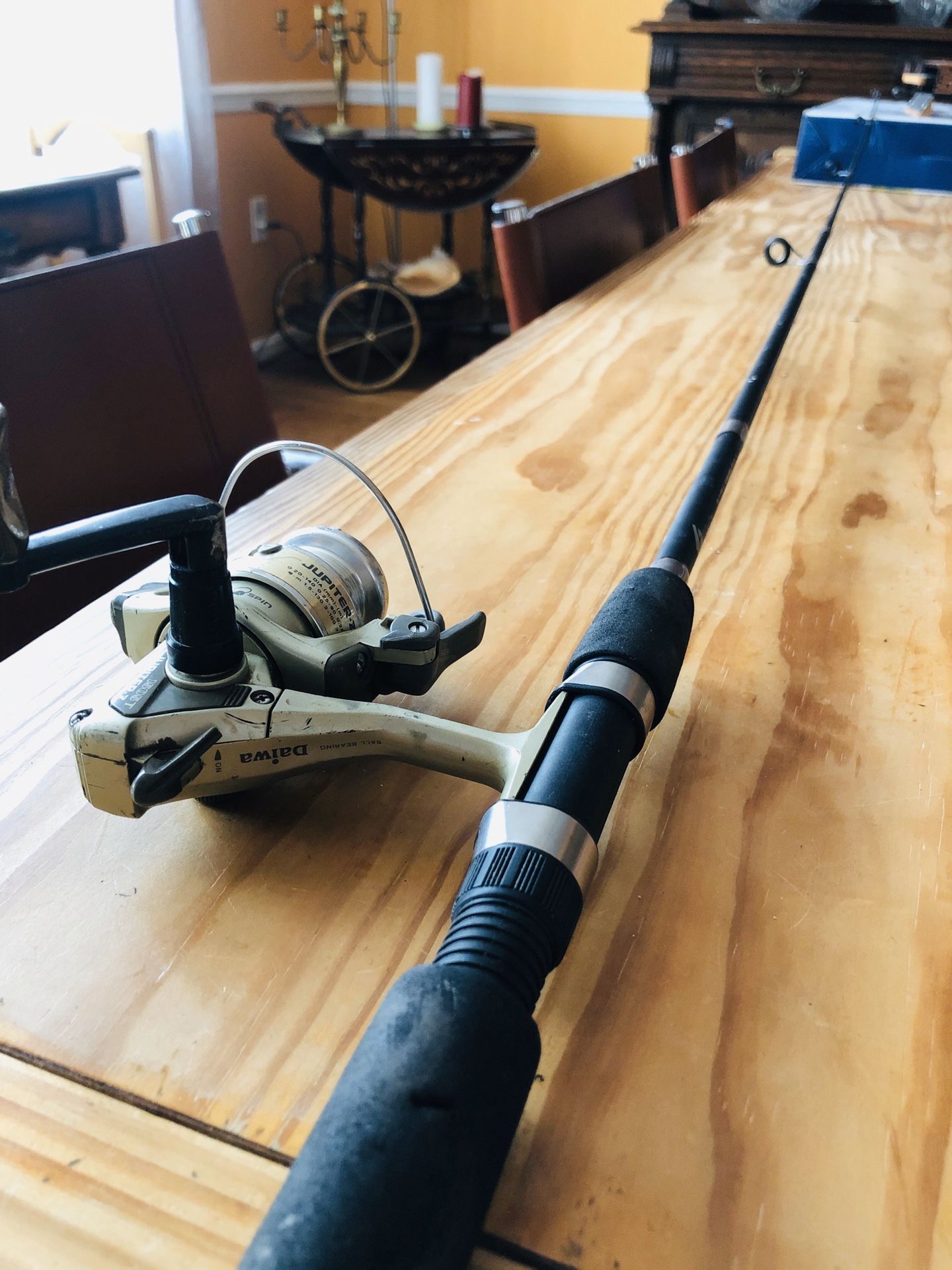 fishing rod and reel daiwa brand reel and south bend nuetron rod