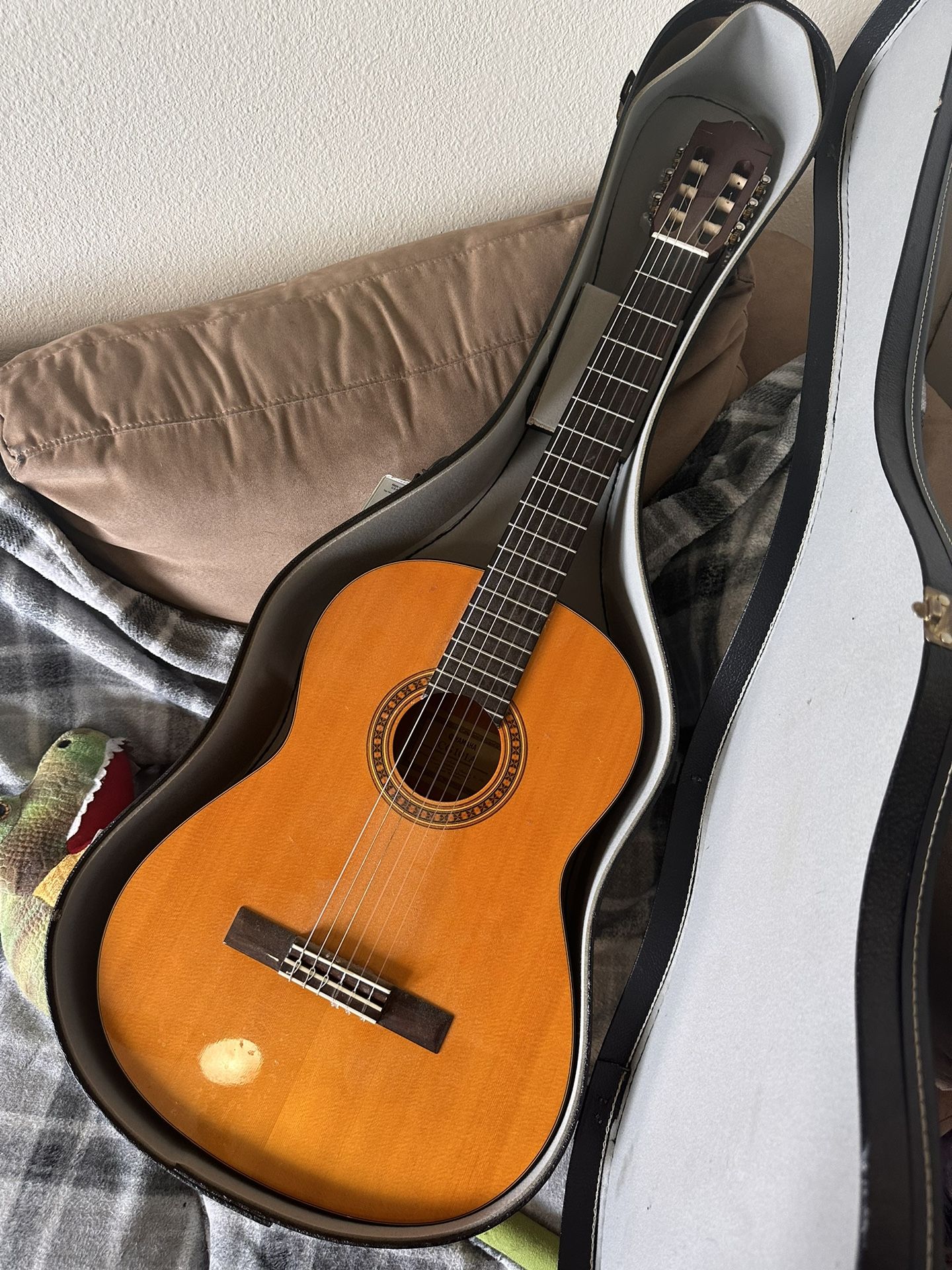 Beginners Guitar