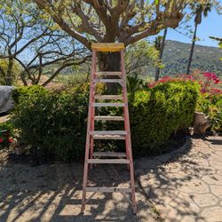 6 Foot Fiberglass Ladder