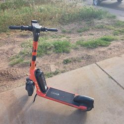 Bird scooter