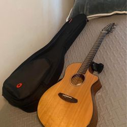 Breedlove 12 String Guitar