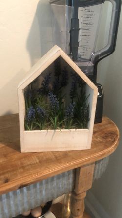 Lavender Decor Plant