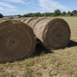 Hay Round Bales 