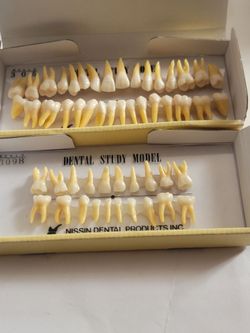 Kilgore Dental Study Models