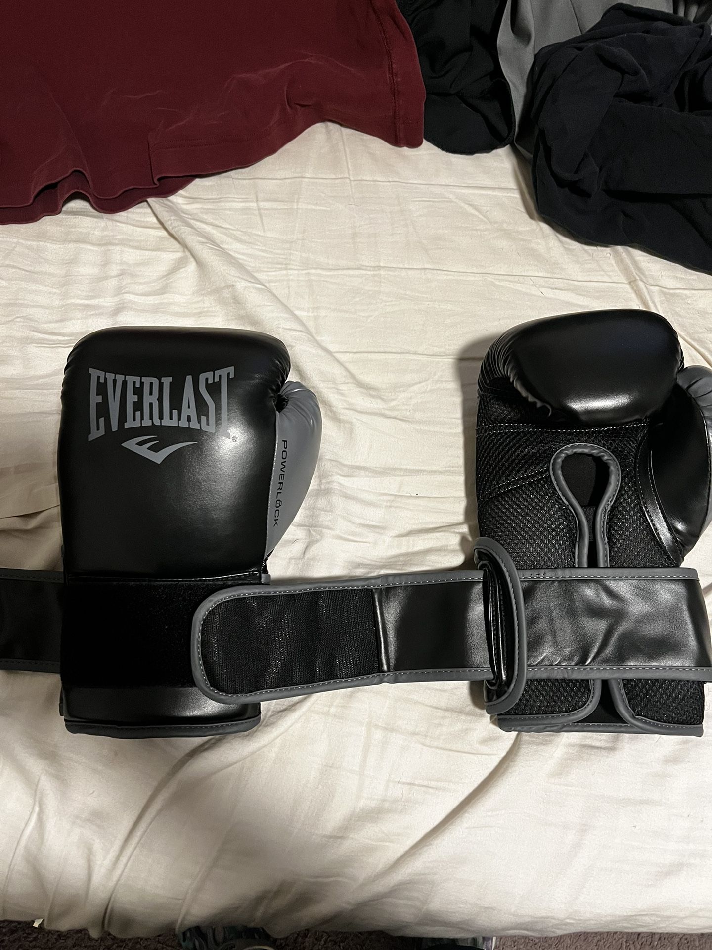Everlast Boxing Gloves