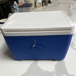 igloo Cooler 
