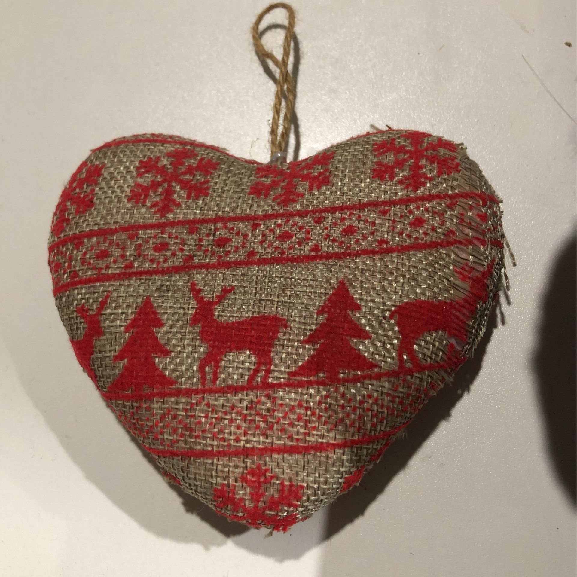 Core Pendant 1kg