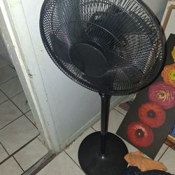 Fan